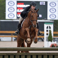 Referenzpferd: Wallach bei der Hunterpruefung mit Reiterin